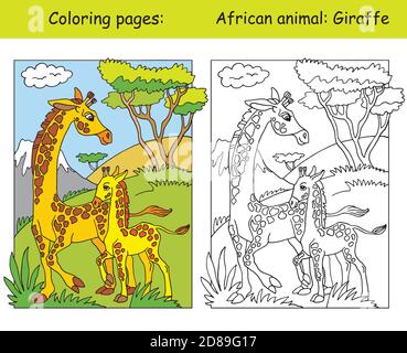 Pagine vettoriali da colorare con carina famiglia giraffe in area africana. Cartoon isolato illustrazione colorata. Immagine colorata e colorata della giraffa. Per col Illustrazione Vettoriale