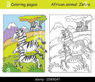 Pagine vettoriali da colorare con carina famiglia zebra in area africana. Cartoon isolato illustrazione colorata. Colorazione e immagine colorata di avvoltoio. Per colore Illustrazione Vettoriale