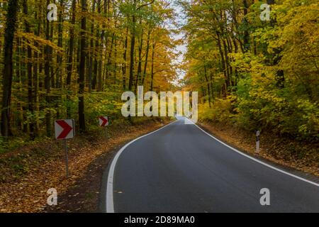 Atmosfera autunnale nel Parco Nazionale di Hainich - Turingia / Germania Foto Stock