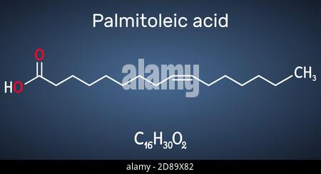 Acido palmitoleico, molecola di palmitoleato. Si tratta di un acido grasso monoinsaturo omega-7. Formula chimica strutturale su sfondo blu scuro. Vettore Illustrazione Vettoriale