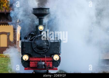 17 ottobre 2020, Meclemburgo-Pomerania occidentale, Klütz: Una locomotiva a brigata di 102 anni trascina un treno passeggeri dalla stazione sulla linea della ferrovia leggera "Kaffebrenner". Alla fine della stagione sul treno turistico con 600 millimetri di carreggiata, una storica locomotiva a vapore viaggerà sulla linea. Il treno viaggerà a 20 chilometri all'ora sulla tratta di soli sei chilometri tra Klütz e Reppenhagen. La linea ferroviaria nel Meclemburgo nord-occidentale è stata aperta il 6 giugno 1905 come "Grand-Ducal-Meclemburgo-Friedrich-Franz Railway" ed è stata inizialmente utilizzata per il trasporto di cereali ai mulini. Foto Stock