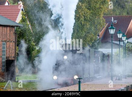 17 ottobre 2020, Meclemburgo-Pomerania occidentale, Klütz: Una locomotiva a brigata di 102 anni trascina un treno passeggeri dalla stazione sulla linea della ferrovia leggera "Kaffebrenner". Alla fine della stagione sul treno turistico con 600 millimetri di carreggiata, una storica locomotiva a vapore viaggerà sulla linea. Il treno viaggerà a 20 chilometri all'ora sulla tratta di soli sei chilometri tra Klütz e Reppenhagen. La linea ferroviaria nel Meclemburgo nord-occidentale è stata aperta il 6 giugno 1905 come "Grand-Ducal-Meclemburgo-Friedrich-Franz Railway" ed è stata inizialmente utilizzata per il trasporto di cereali ai mulini. Foto Stock