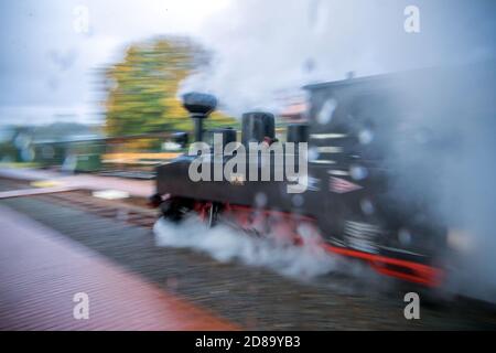 17 ottobre 2020, Meclemburgo-Pomerania occidentale, Klütz: Sotto la pioggia, la locomotiva brigata di 102 anni attraversa la stazione. Fino al 19.10.2020 la locomotiva trarrà il treno passeggeri sulla linea ferroviaria leggera "Kaffeebrenner". Alla fine della stagione sul treno turistico con 600 millimetri di carreggiata, una storica locomotiva a vapore percorrerà la linea. Il treno viaggerà a 20 chilometri all'ora sulla tratta di soli sei chilometri tra Klütz e Reppenhagen. La linea ferroviaria nel Meclemburgo nord-occidentale è stata inaugurata il 6 giugno 1905 con il nome di "Grand-Ducal-Meclemburgo-Friedrich-Franz Railway" e. Foto Stock