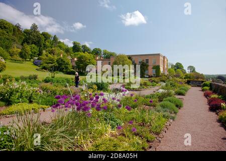 I colorati confini erbacei a Killerton House, nr Exeter, Devon, Inghilterra, Regno Unito Foto Stock