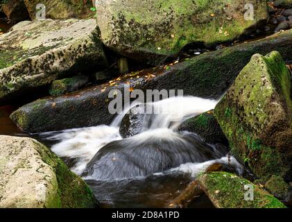 Cascate Padley Gorge Peak District Derbyshire Inghilterra, Regno Unito Foto Stock