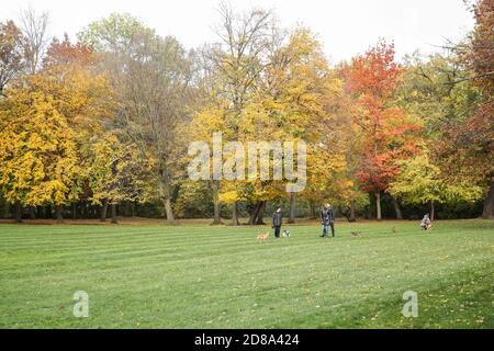 Berlino, Germania. 28 Ott 2020. I pedoni camminano con i loro cani da compagnia in un parco a Berlino, capitale della Germania, 28 ottobre 2020. Credit: Shan Yuqi/Xinhua/Alamy Live News Foto Stock