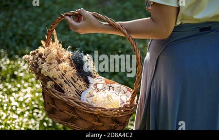 Vista tagliata mano di donna che tiene il cesto di fiori in una giornata di sole Foto Stock