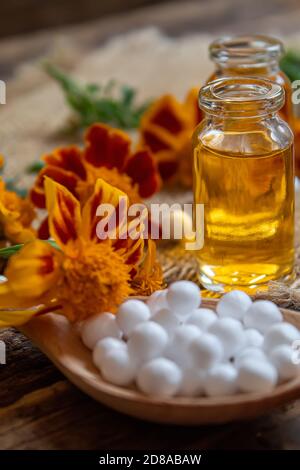 Tintura di fiori di Chernobrivtsov in un piccolo vaso. Focus.Medical selettivo Foto Stock