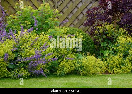 Giardino privato paesaggistico primo piano (cottage design, fiori estivi, piante di confine misto, arbusti, fogliame colorato, recinzione) - Yorkshire, Inghilterra, Regno Unito. Foto Stock