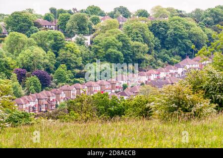 Farthing Downs, un'area di spazio aperto di proprietà della City che fa parte di una terra verde a sud di Londra. Foto Stock