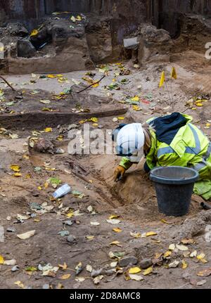 Scavi archeologici di scheletro medievale nel sito di sepoltura, Constitution Street, Leith, Edimburgo, Scozia, Regno Unito durante i lavori di costruzione della linea del tram Foto Stock