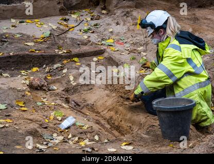 Scavi archeologici di scheletro medievale nel sito di sepoltura, Constitution Street, Leith, Edimburgo, Scozia, Regno Unito durante i lavori di costruzione della linea del tram Foto Stock