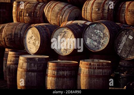 File di botti di whisky scozzese in un magazzino Foto Stock