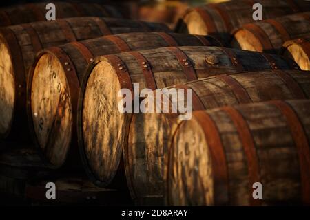 Scotch Whisky barili nella luce della sera Foto Stock