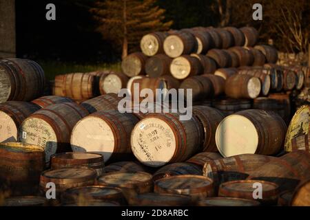 Scotch Whisky barili nella luce della sera Foto Stock