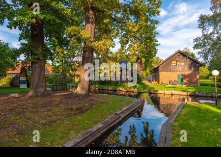 Lehde, Spree Forrest Oberspreewald, Brandeburgo, Germania orientale, Europa Foto Stock