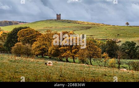 La gabbia, Parco di Lyme con i colori autunnali di Coalpit Clough in primo piano. Stockport Foto Stock