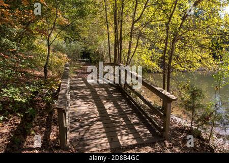 Una passerella in legno a pedalò nei pressi di un lago in una riserva forestale in autunno. Foto Stock