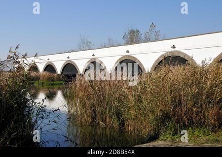 Ponte a nove archi, Neunbögige Brücke, Hortobágy, Kilenclyukú híd, Hajdú, Magyarország-Bihar, Ungheria,  , Europa, Patrimonio dell'Umanità Foto Stock