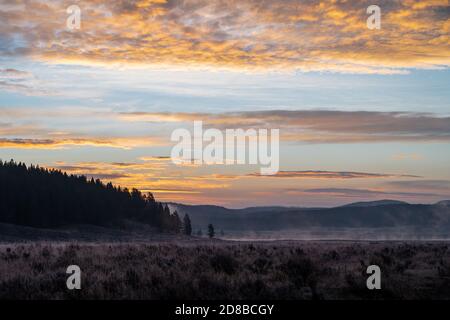 Alba colorata nella valle di Hayden, con vapore proveniente dal fiume Yellowstone Foto Stock