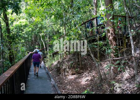 Turistico sul lungomare per Barron River Falls punto panoramico in Barron River Gorge, Queensland Nord, Australia Foto Stock