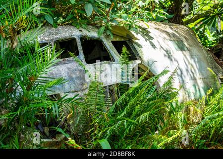 Relitto dell'aereo da carico C-47 in esposizione al Kuranda Heritage Markets, Atherton Tablelands, North Queensland, Australia Foto Stock