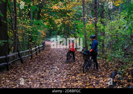 Scenario della foresta autunnale con la strada delle foglie autunnali e due ciclisti. Sentiero nella natura della foresta d'autunno. Foto Stock