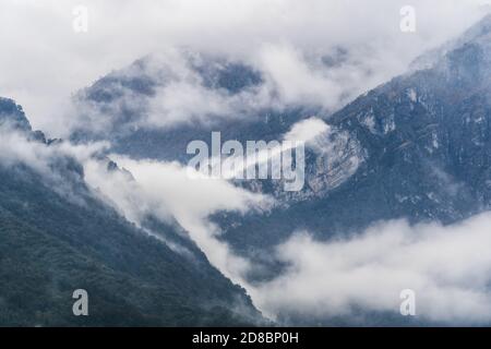 Paesaggio di montagna foggy stratificato. Montagne e foreste nebbie. Valle del mattino con vista foresta e nebbia. Pineta mistica in montagna Foto Stock
