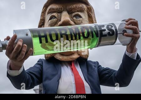 ‘Stop la protesta degli Usa Trade Deal in Parliament Square con una caricatura di Donald Trump che tenta di iniettare una mucca da pantomima con ormoni della crescita, Regno Unito. Foto Stock