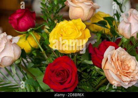 Sfondo a trama piena di rose colorate gialle, rosse e rosa in un allestimento fiorista interno con sfondo sfocato Foto Stock