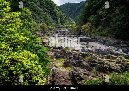 Barron fiume in stagione secca, Barron River Gorge, Cairns, North Queensland, Australia Foto Stock
