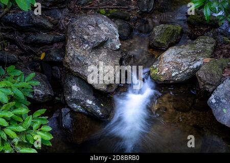 Torrente della foresta pluviale a Crystal Cascades, Cairns, North Queensland Foto Stock