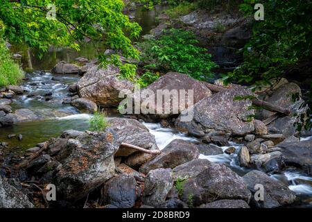 Torrente della foresta pluviale a Crystal Cascades, Cairns, North Queensland Foto Stock