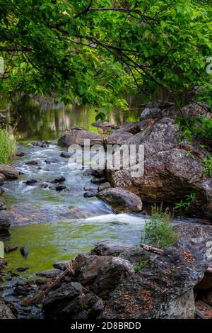 Torrente della foresta pluviale a Crystal Cascades, Cairns, North Queensland Foto Stock