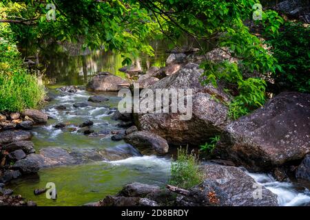 Torrente della foresta pluviale a Crystal Cascades, Cairns, North Queensland Foto Stock