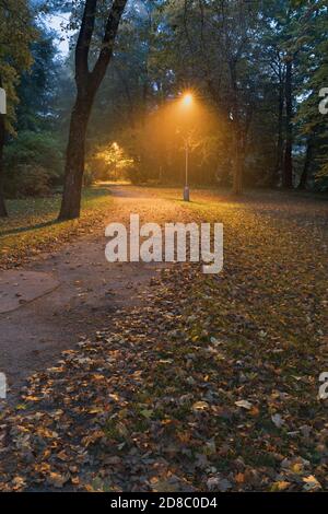 Vista notturna : paesaggio di vicolo con lampioni di strada in notte nebbiosa. Strada scura illuminata con luci di strada. Atmosfera romantica o suggestiva Foto Stock