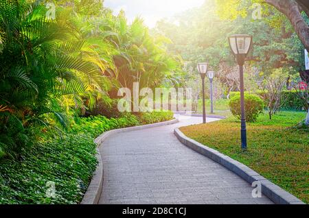 Passerella che ondeggia nel parco pubblico con il sole che splende attraverso gli alberi. Foto Stock