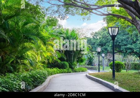 Parco cittadino verde tropicale con passaggio pedonale curvo. Giardino oasi fresco in ambiente urbano. Foto Stock