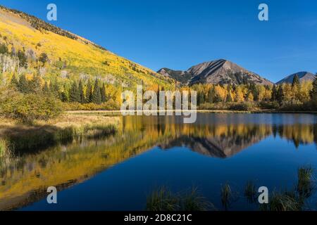 Quaking aspen alberi nei colori di caduta riflessi nel lago Warner nella foresta nazionale di Manti-la SAL vicino Moab, Utah. Foto Stock