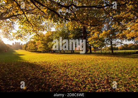 Mattina d'autunno a Wollaton Hall & Deer Park, Nottingham Nottinghamshire Inghilterra Regno Unito Foto Stock