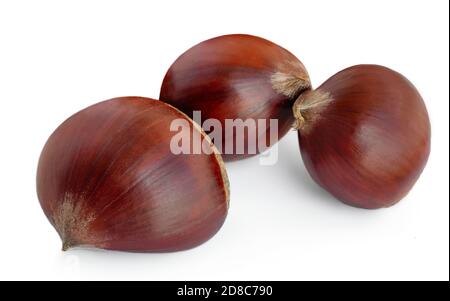 Castagne isolate su sfondo bianco. Castagno per Natale primo piano. Tre noci arrostite Foto Stock