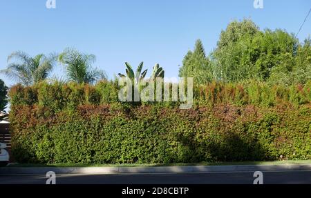 Tarzana, California, USA 28 ottobre 2020 UNA visione generale dell'atmosfera della ex casa di Lisa Marie Presley al 18531 Wells Drive il 28 ottobre 2020 a Tarzana, California, USA. Foto di Barry King/Alamy Stock foto Foto Stock