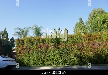 Tarzana, California, USA 28 ottobre 2020 UNA visione generale dell'atmosfera della ex casa di Lisa Marie Presley al 18531 Wells Drive il 28 ottobre 2020 a Tarzana, California, USA. Foto di Barry King/Alamy Stock foto Foto Stock