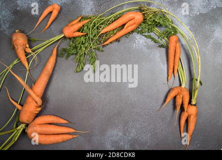 Diverse radici di carote deformate e brutto con una forma bizzarra su uno sfondo grigio . Un luogo per una copia dello spazio. Orientamento verticale Foto Stock