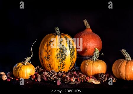 Diverse zucche sono sdraiati sulla tavola tra foglie autunnali, ghiande, coni. Autunno ancora vita. Sfondo scuro. Spazio per tex Foto Stock