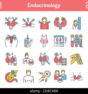 Set di icone delle linee di colore Endocrinology. Pittogrammi per pagina Web, app mobile, promo. Illustrazione Vettoriale