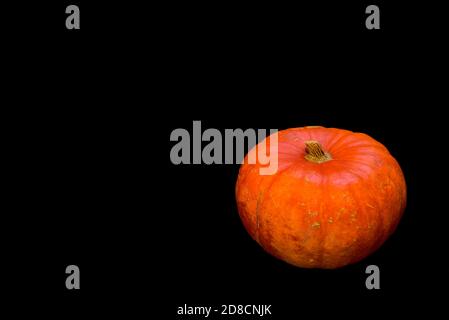 Zucca singola isolata su sfondo nero assorbente con spazio di copia e tracciato di ritaglio. Semplicità. Minimalismo. Splendido sfondo d'autunno Foto Stock
