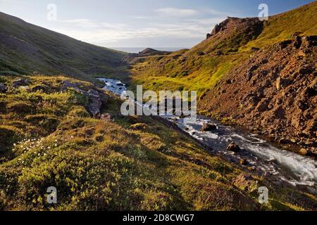 fiume nella valle di montagna Sandfell, Islanda, Sandfell Foto Stock