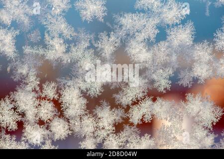 Una foto astratta di un motivo di gelo su un pezzo di vetro. La macro è un bianco e nero textured cristallo fiocchi di neve frosty. Foto Stock