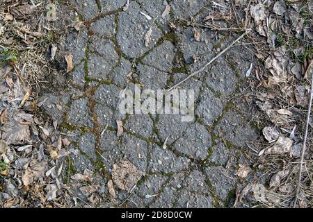 sfondo di asfalto vecchio con erba verde germogliata e vecchie foglie secche, vista dall'alto. Foto Stock